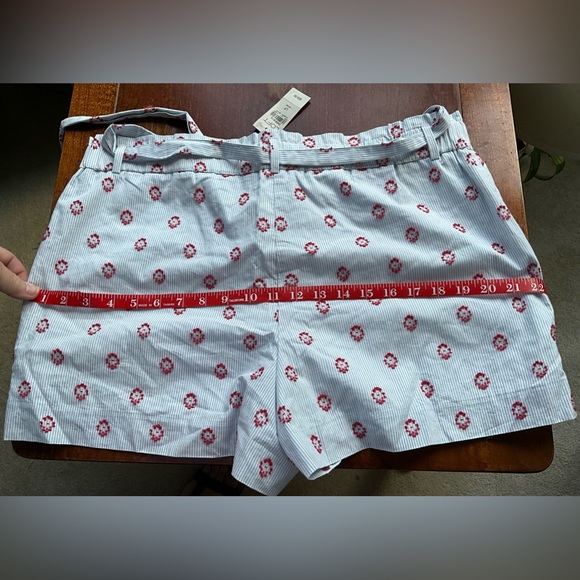 Woman’s dressy lined shorts  w/elastic paper bag waist and self tie - Picture 2 of 8